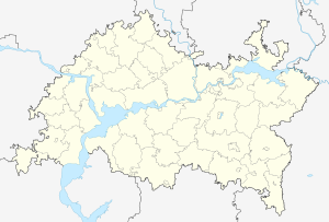 Базарные Матаки (Татарстан)